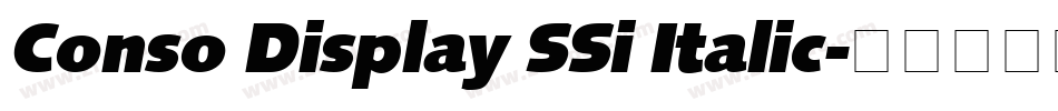 Conso Display SSi Italic字体转换